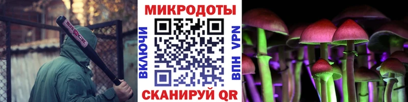 где продают наркотики  Алейск  Галлюциногенные грибы GOLDEN TEACHER 
